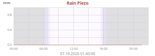Rain