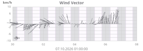 Wind Vector